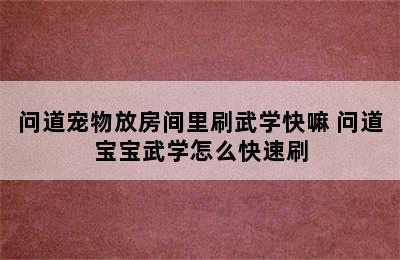 问道宠物放房间里刷武学快嘛 问道宝宝武学怎么快速刷